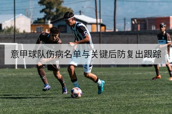 意甲球队伤病名单与关键后防复出跟踪