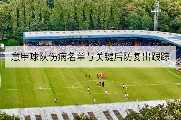 意甲球队伤病名单与关键后防复出跟踪