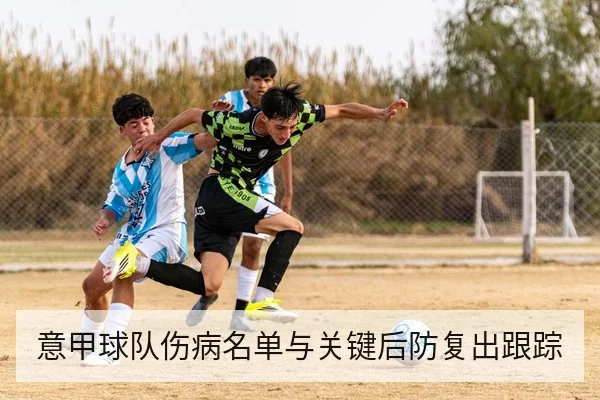 意甲球队伤病名单与关键后防复出跟踪